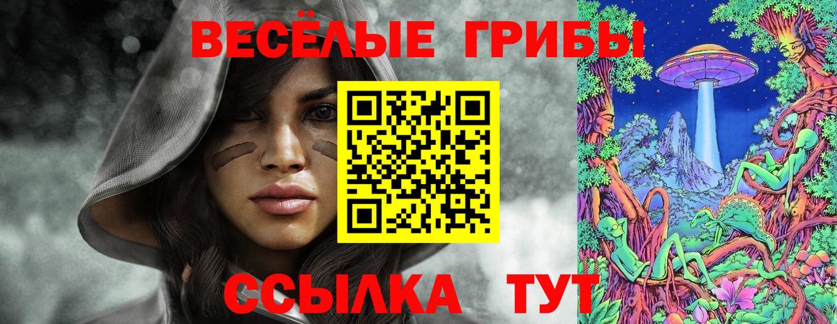 Псилоцибиновые грибы Psilocybine cubensis  Галлюциногенные грибы Psilocybe  Улан-Удэ  Вход с VPN 